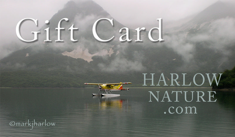 Gift Certificate - Alaska Float Plane
