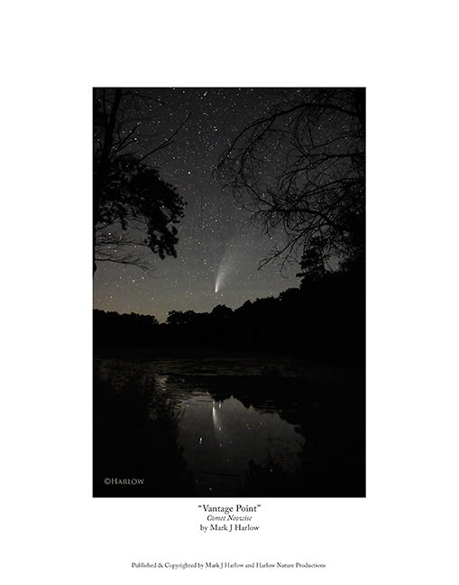 "Vantage Point" Comet Neowise Picture - Print