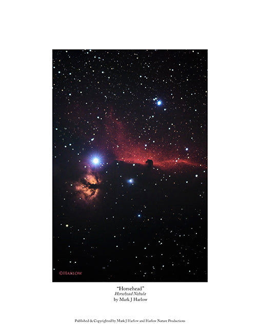 "Horsehead" Nebula Picture - Vertical Print