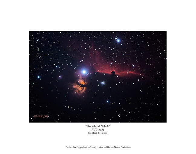 "Horsehead Nebula" Picture - Print
