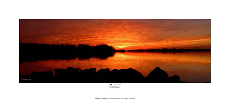 'Mad Sundown" Panoramic Sunset Picture - Print