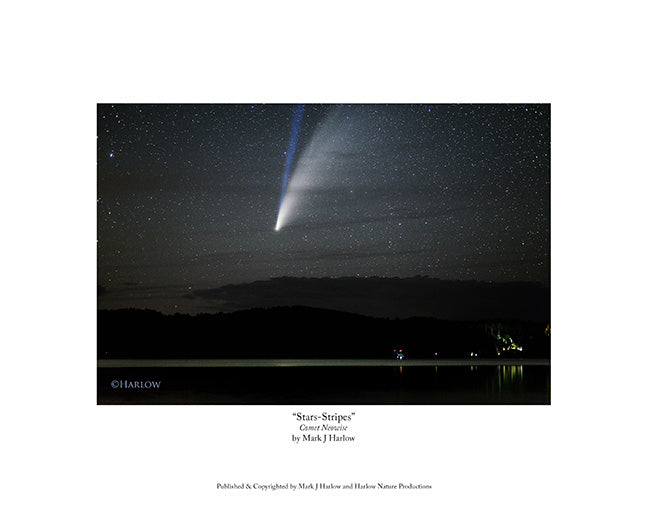 "Stars-Stripes" Comet Neowise Picture - Print