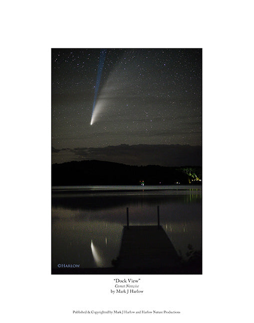 "Dock View" Comet Neowise Picture - Print