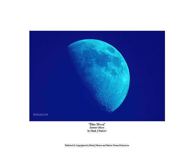 "Blue Moon" Unique Moon Picture - Print