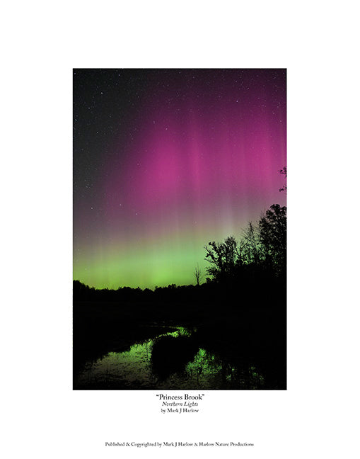 "Princess Brook" Northern Light Picture - Print