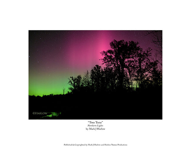 "Two Tone" Unique Aurora Picture - Print