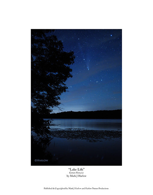 "Lake Life" Comet Neowise Picture - Print