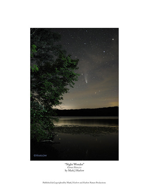"Night Wonder" Comet Neowise Picture - Print
