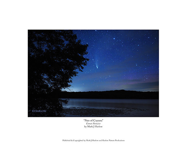 "Neo of Cuyuna" Comet Neowise Picture - Print