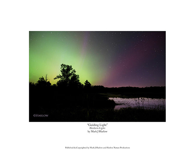 "Guiding Light" Aurora Picture - Print