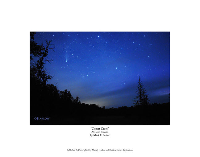 "Comet Creek" Unique Comet Neowise Picture - Print