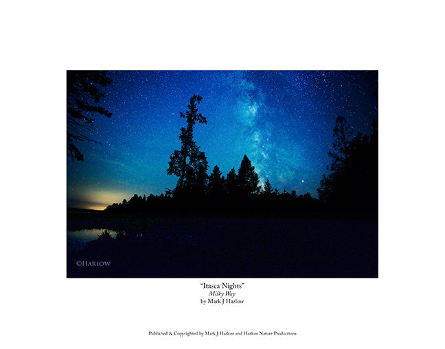 "Itasca Nights" Milky Way Picture Itasca Park MN - Print