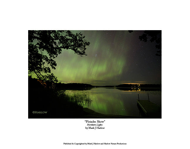 "Pleiades Show" Northern Lights with the Pleiades Seven Sisters Picture - Print