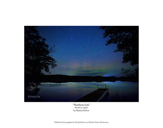 "Northern Lite" Delicate Northern Light - Aurora Picture - Print