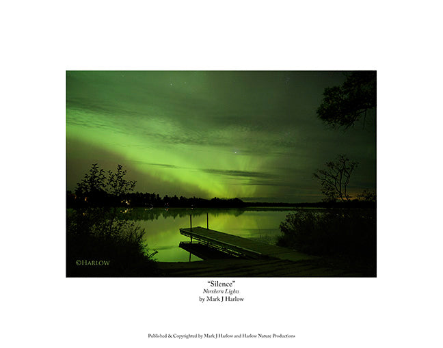 "Silence" Aurora Photo - Print