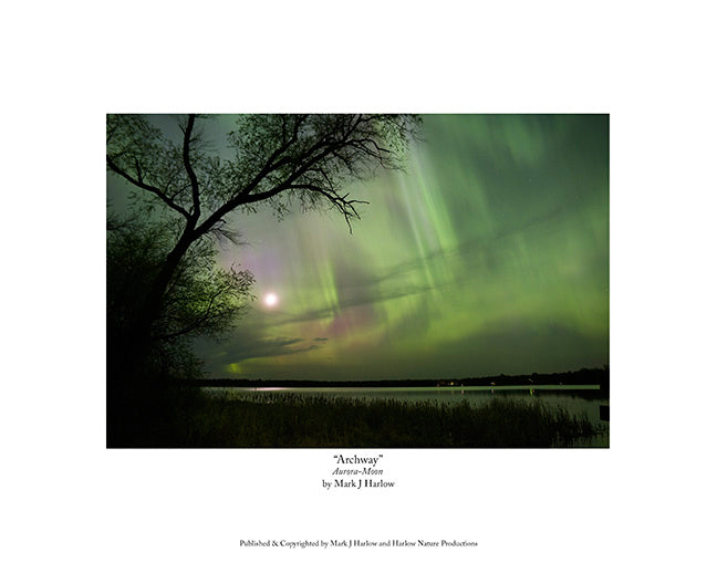 "Archway" Unique Northern Light Print