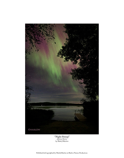 "Night Sweep" Unique Northern Light Print