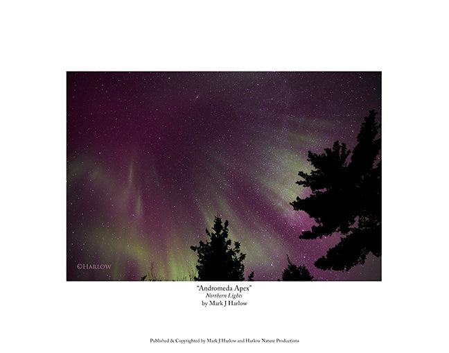 "Andromeda Apex" Unique Northern Lights - Aurora Picture - Print