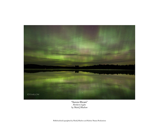 "Aurora Dream" Unique Aurora Picture - Print