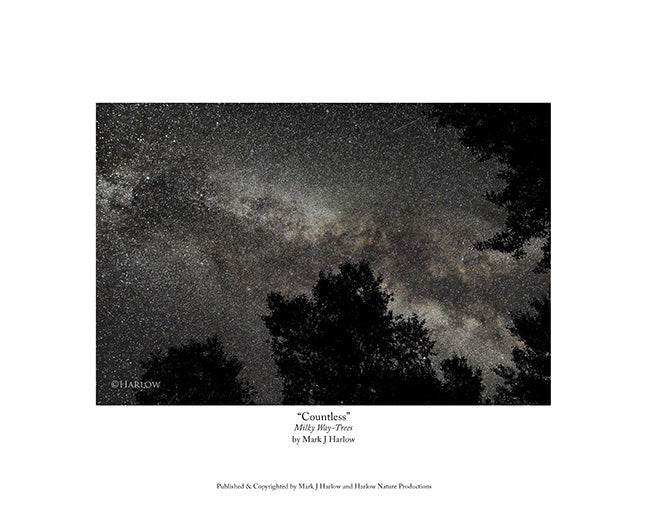 "Countless" Milky Way Stars Picture - Print