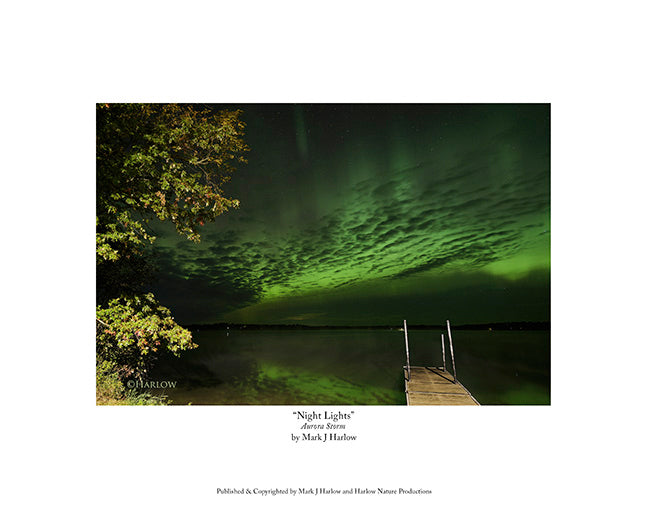 "Night Lights" Unique Northern Lights Picture - Print