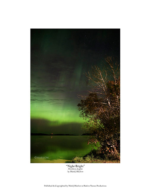 "Night Bright" Unique Aurora Picture Image - Print
