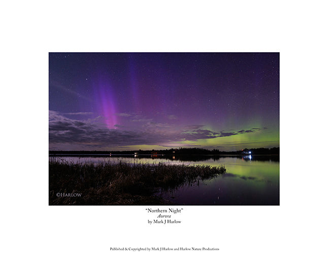 "Northern Night" Aurora Beams Picture - Print