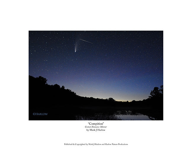 "Competition" One Comet One Meteor Picture - Print