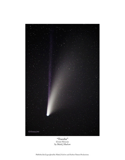 "Traveler" Comet Neowise Picture - Print