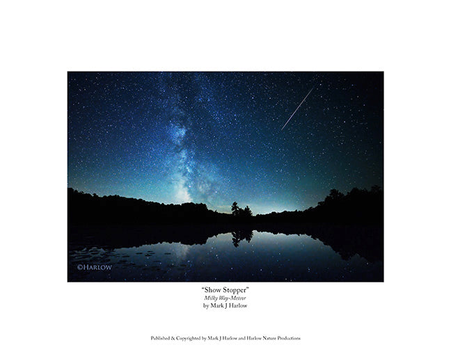 "Show Stopper" Rare Meteor Milky Way Picture - Print