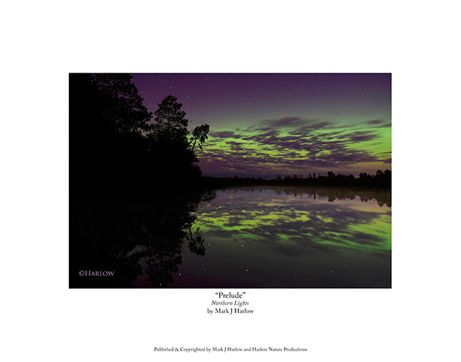 "Prelude" Iconic Northern Lights Picture - Print