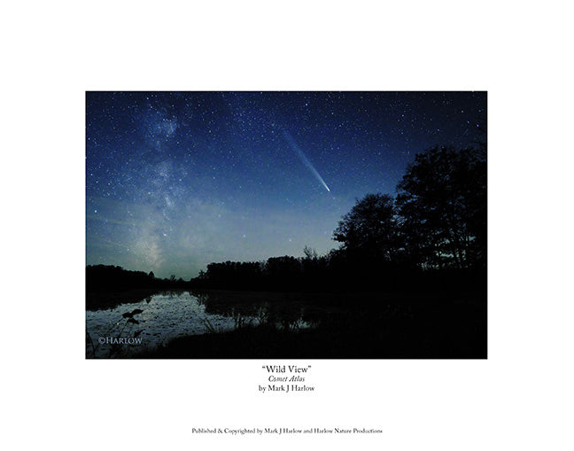 "Wild View" Atlas Comet Picture - Print