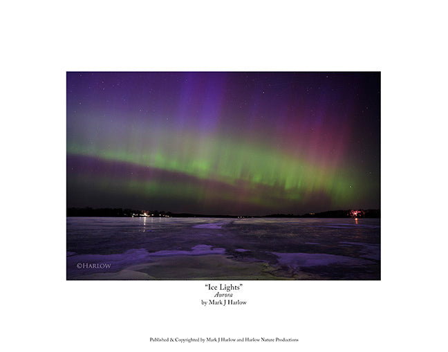 "Ice Lights" Winter Northern Light Picture - Print