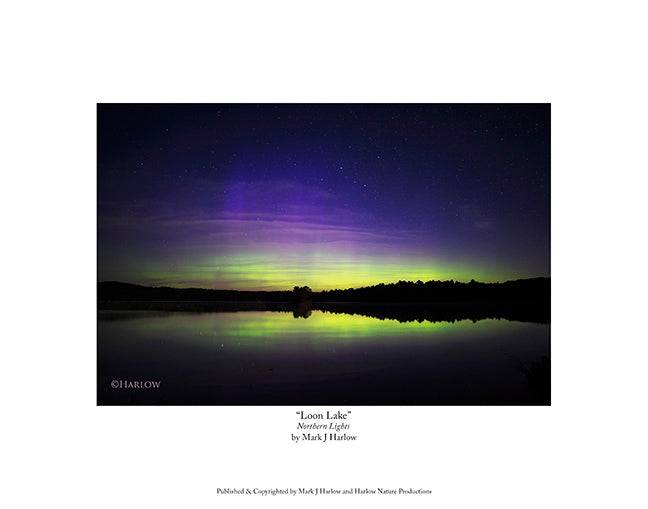 "Loon Lake" Unique Northern Light Picture - Print