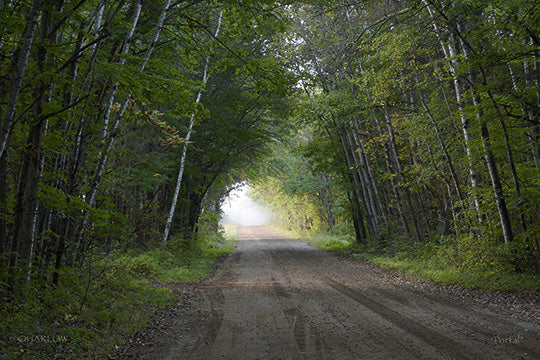 "Portal" unique road with fog picture - Gallery Metal Print