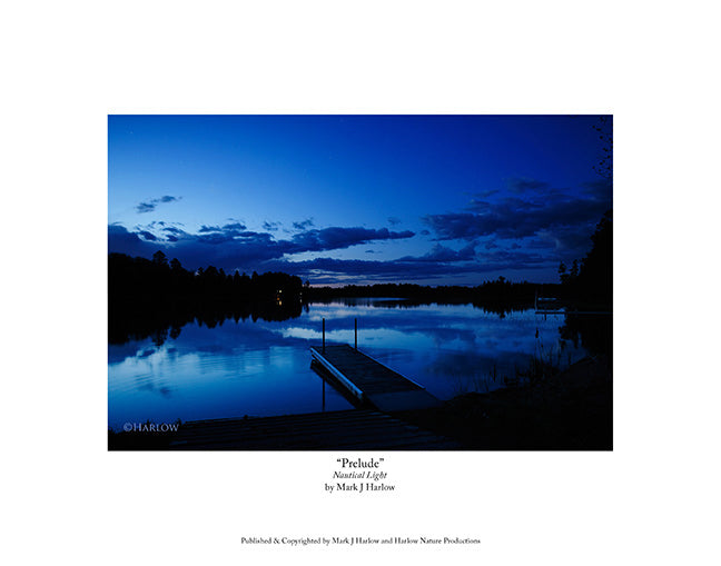 "Prelude" Unique Night Picture - Print