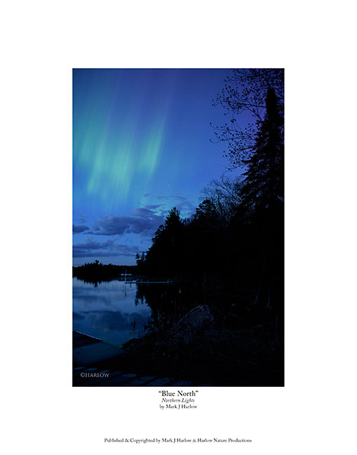 "Blue North" Unique Northern Light Picture - Print