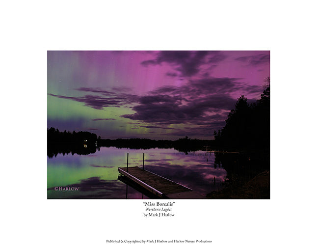 "Miss Borealis" Unique - Rare- Northern Light Picture - Print