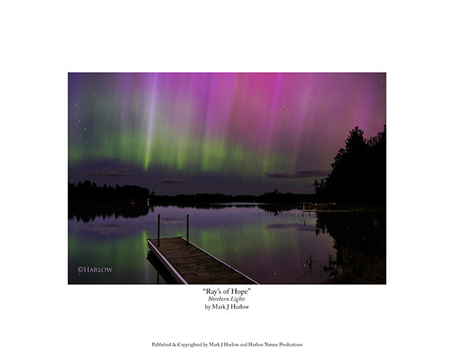 "Rays of Hope" Northern Light Picture - Print