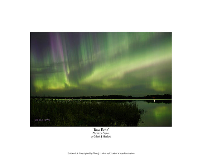 "Bow Echo" Northern Lights Picture - Print