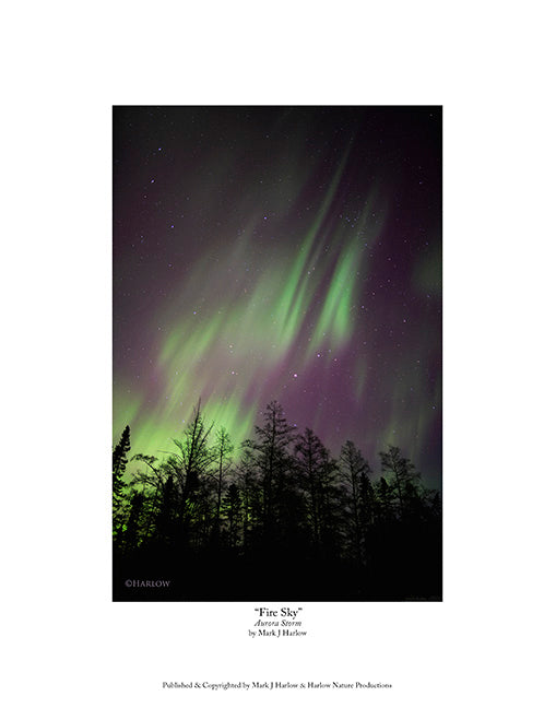 "Fire Sky" Amazing Northern Light Picture - Aurora Photo - Print