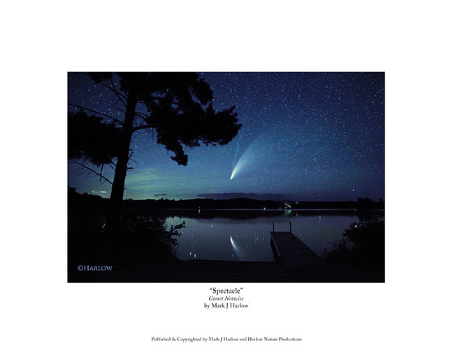 "Spectacle" Comet Neowise Picture - Print