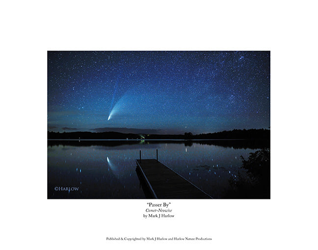 "Passer By" Comet NEOWISE Picture - Print