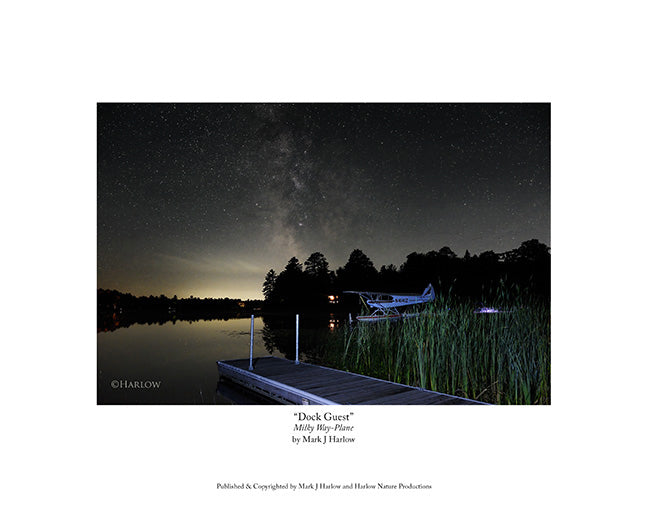 "Dock Guest" Float Plane Night Picture with the Milky Way - Print