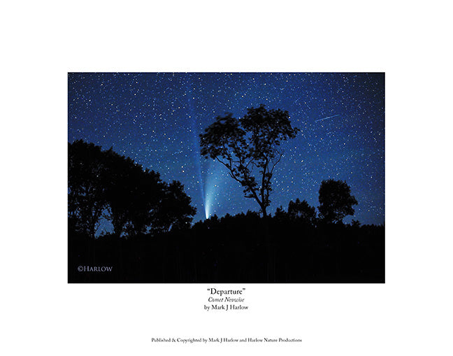 "Departure" Comet Neowise Picture Print Unique - Print