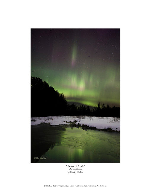 "Beaver Creek" Northern Light Picture - Print