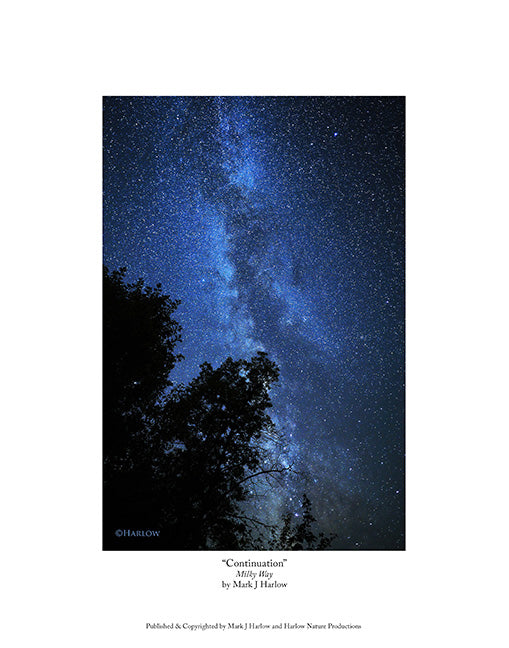 "Continuation" Scenic Milky Way Picture - Vertical Print