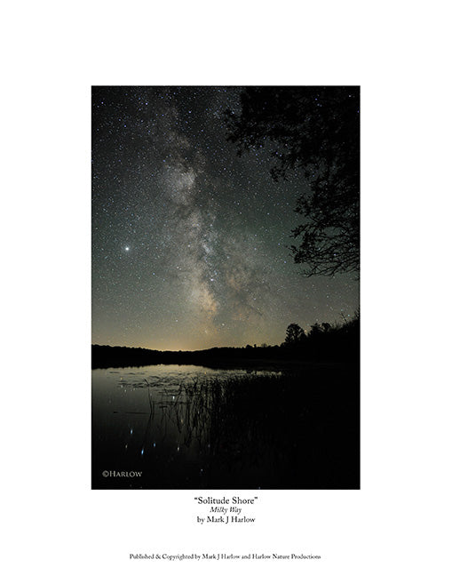 "Solitude Shore" Scenic Milky Way Picture - Print