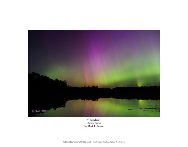 "Paradise" Amazing Aurora Picture - Print