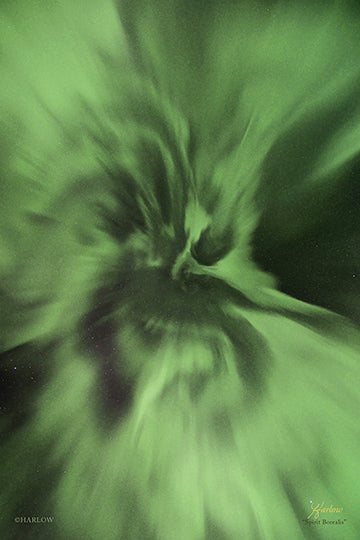 Vertical Metal Prints 2026